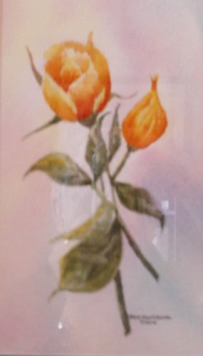Picture of Pat's Rose
