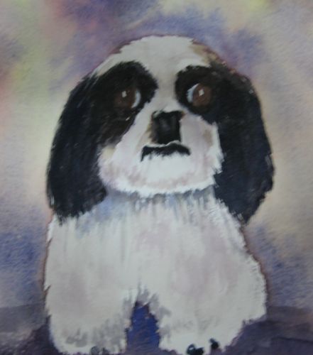 Picture of Carlos