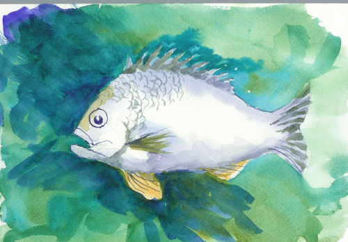 Picture of Pat's Fish 2